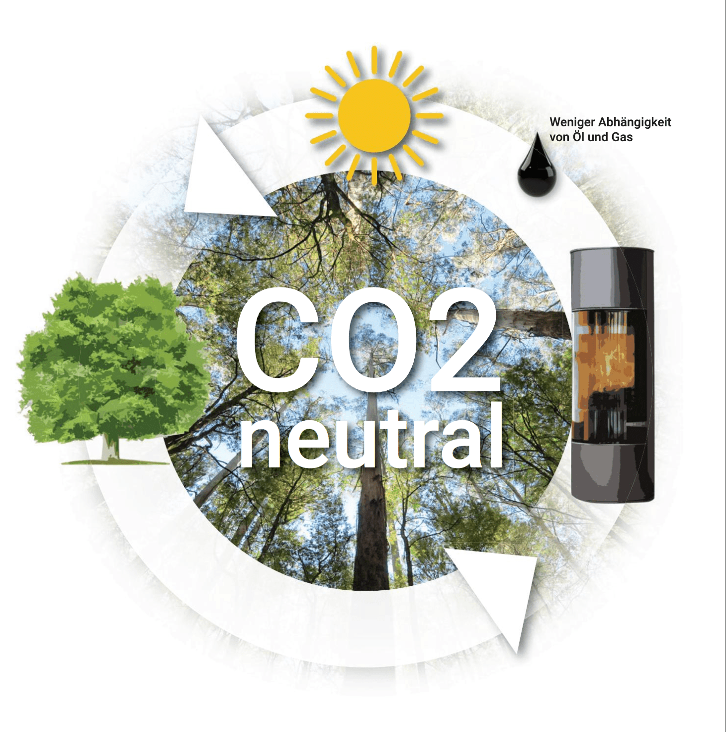 Die Wissenschaft ist sich einig: Holzverbrennung ist CO₂-Neutral - Bernhard Schleicher e.K.