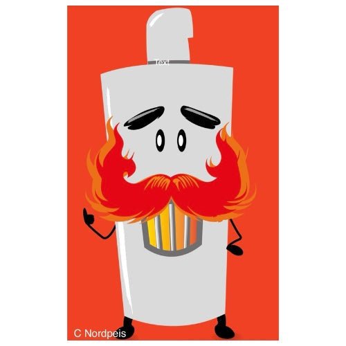 Ist Ihr Kaminofen bereit für 2027? - Bernhard Schleicher e.K.